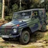 Revell 03277 - LKW Gl Leicht Wolf -Revell Revell 03277 LKW gl leicht Wolf