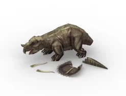 Revell 00242 - Jurassic World Dominion - Triceratops - 3D Puzzle -Revell revell 00242 jurassic world dominion triceratops