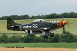 REVELL 03838 1:32 P-51 D Mustang (late Version )